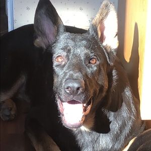 Meet your Posher, Shawn